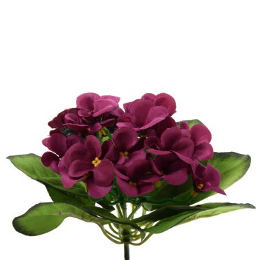 beyaz arkaplanda izole edilmiş yapay çiçekler  