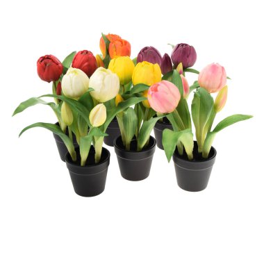 Beyaz arka planda izole edilmiş saksılardaki yapay laleler.  