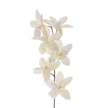 Beyaz arkaplanda izole edilmiş renkli yapay orkideler  