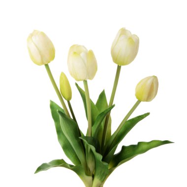 Beyaz arkaplanda izole edilmiş yapay laleler  