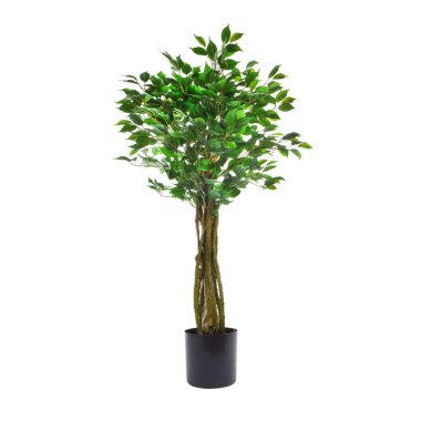 Yapay yeşil ağaç beyaz arkaplanda izole edildi 