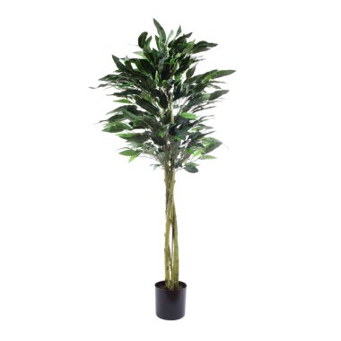 Yapay yeşil ağaç beyaz arkaplanda izole edildi 