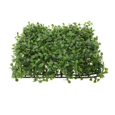 Beyaz arkaplanda yapay yeşil çalı izole edildi 