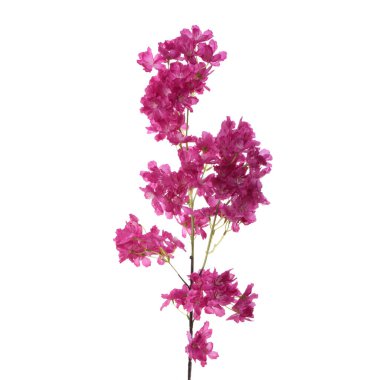 beyaz arkaplanda izole edilmiş yapay çiçekler  