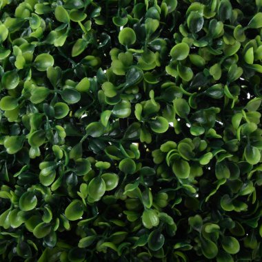 Yapay yeşil ağaç beyaz arkaplanda izole edildi 