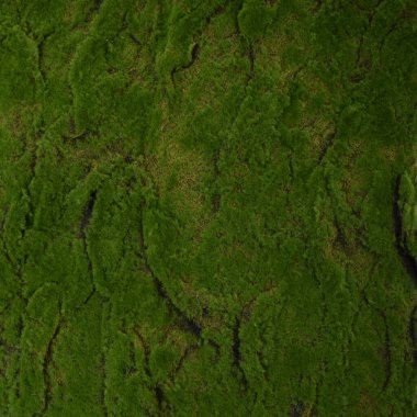 yeşil yapay çimen dokusu, kopyalama alanı