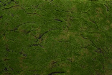 yeşil yapay çimen dokusu, kopyalama alanı