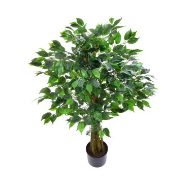 Yapay yeşil ağaç beyaz arkaplanda izole edildi 