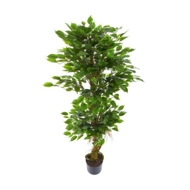 Yapay yeşil ağaç beyaz arkaplanda izole edildi 