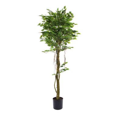 Yapay yeşil ağaç beyaz arkaplanda izole edildi 