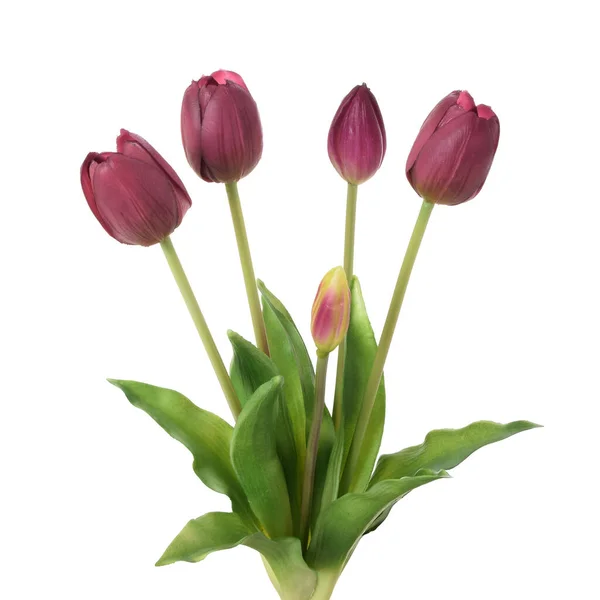 Fleurs Tulipes Artificielles Isolées Sur Fond Blanc — Photo