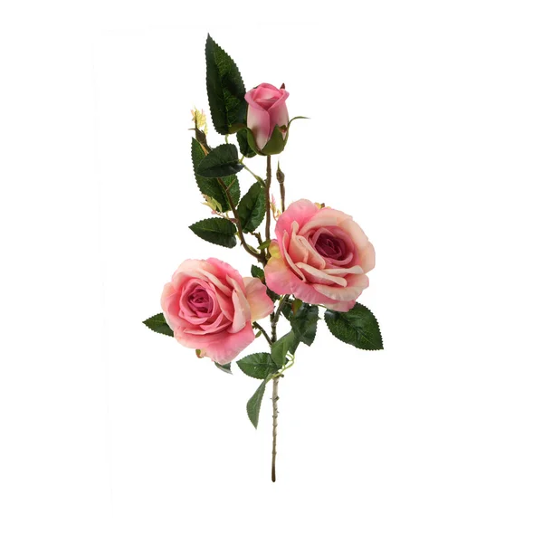 Artificial Roses Flowers Isolated White Background — Stock Photo, Image