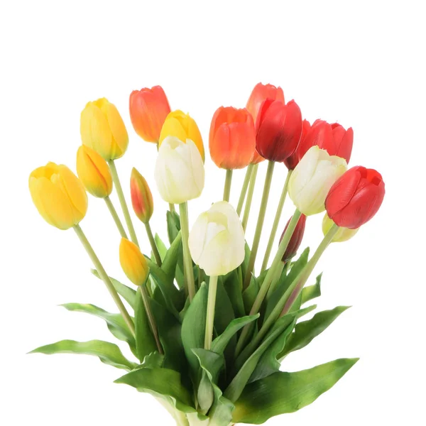 Tulipanes Artificiales Flores Aisladas Sobre Fondo Blanco — Foto de Stock