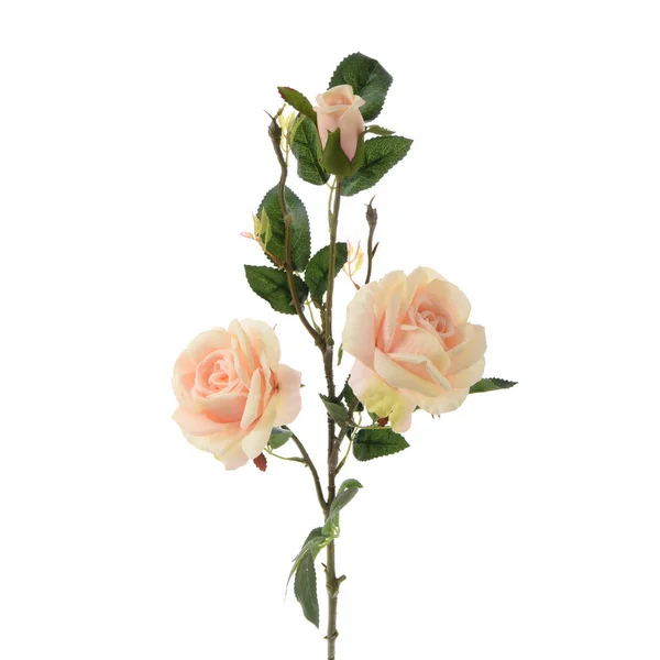 Roses Artificielles Fleurs Isolées Sur Fond Blanc — Photo