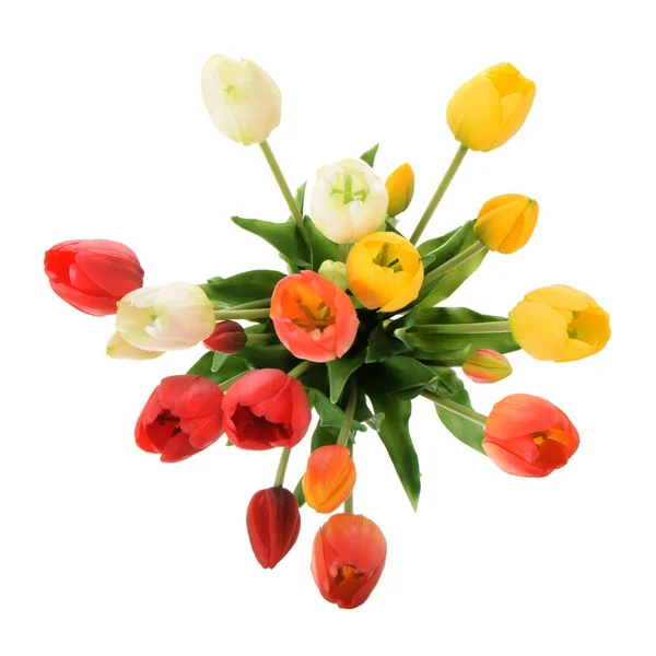 Искусственные Цветы Тюльпанов Белом Фоне — стоковое фото