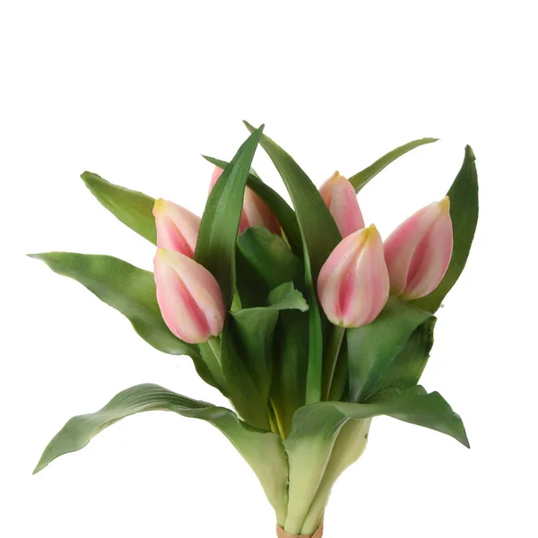 Artificial Tulips Flowers Isolated White Background — Stock Photo, Image