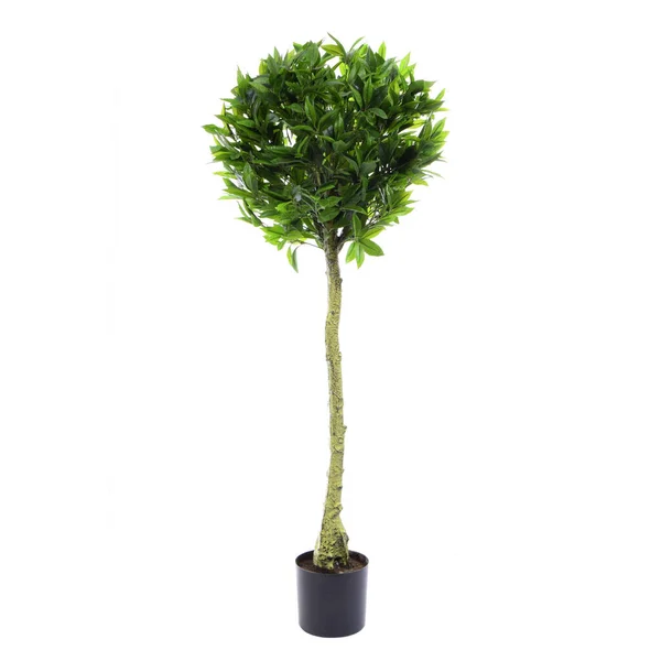 Umělé Zelené Strom Izolovaný Bílém Pozadí — Stock fotografie