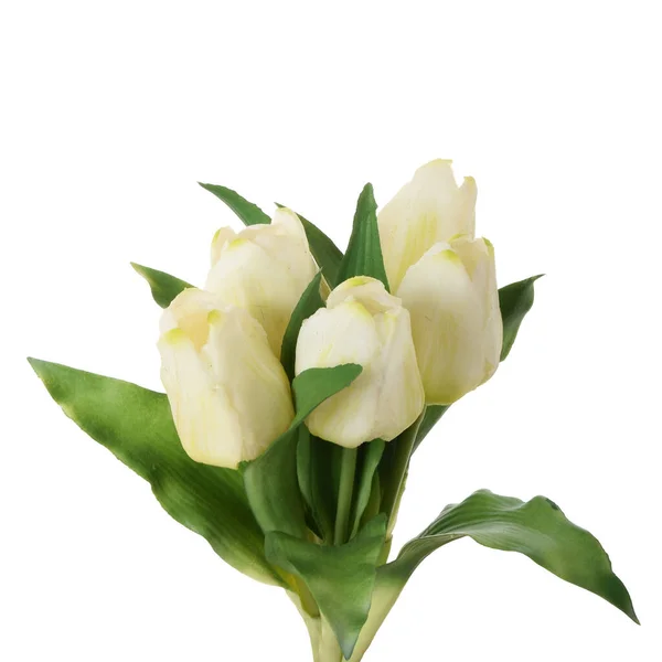 Flores Tulipas Artificiais Isoladas Fundo Branco — Fotografia de Stock