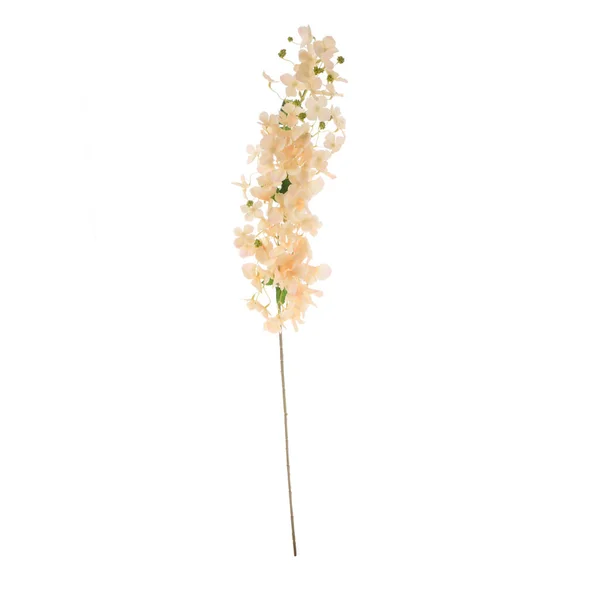 Кольорові Штучні Квіти Ізольовані Білому Тлі — стокове фото
