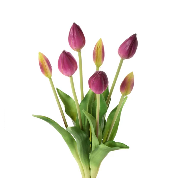 Künstliche Tulpen Blumen Isoliert Auf Weißem Hintergrund — Stockfoto