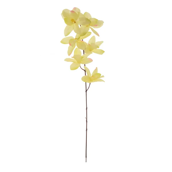 Színes Mesterséges Orchideák Virágok Elszigetelt Fehér Háttér — Stock Fotó