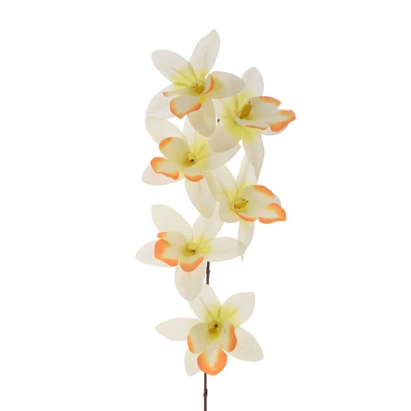 Цветы Искусственных Орхидей Белом Фоне — стоковое фото