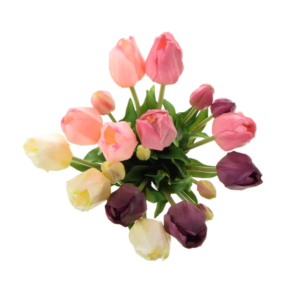 Künstliche Tulpen Blumen Isoliert Auf Weißem Hintergrund — Stockfoto