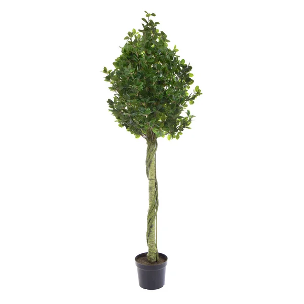 Albero Verde Artificiale Isolato Sfondo Bianco — Foto Stock