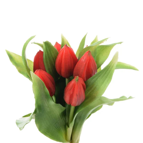 Künstliche Tulpen Blumen Isoliert Auf Weißem Hintergrund — Stockfoto