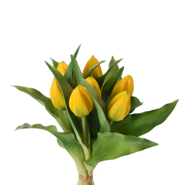 Künstliche Tulpen Blumen Isoliert Auf Weißem Hintergrund — Stockfoto