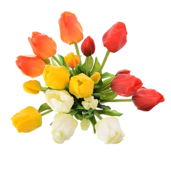 Fleurs Tulipes Artificielles Isolées Sur Fond Blanc — Photo