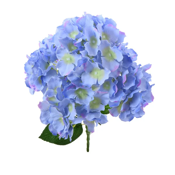 Artificial Hydrangea isolated on white background