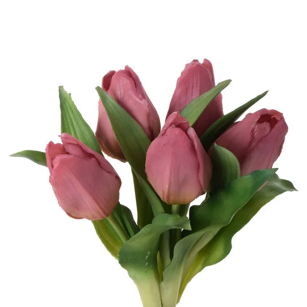 Künstliche Tulpen Blumen Isoliert Auf Weißem Hintergrund — Stockfoto