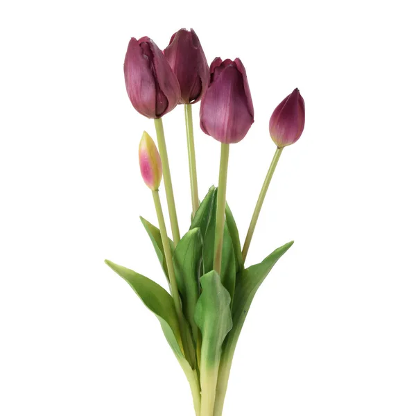 Künstliche Tulpen Blumen Isoliert Auf Weißem Hintergrund — Stockfoto