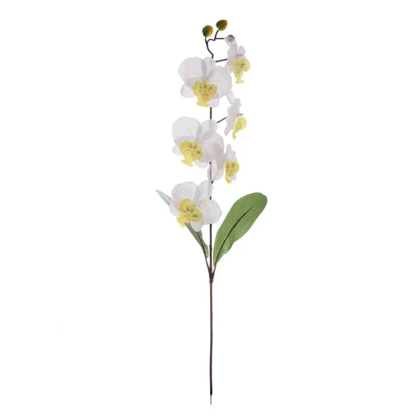 Színes Mesterséges Orchideák Virágok Elszigetelt Fehér Háttér — Stock Fotó