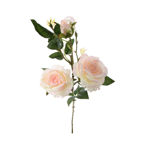 Rose Artificiali Fiori Isolati Sfondo Bianco — Foto Stock