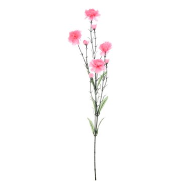 beyaz arkaplanda izole edilmiş yapay karanfil çiçekleri  