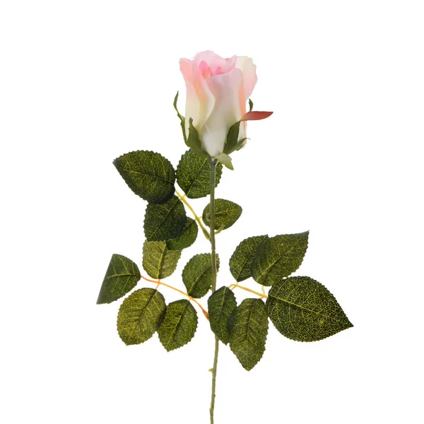 Colore Rosa Artificiale Fiore Isolato Sfondo Bianco — Foto Stock