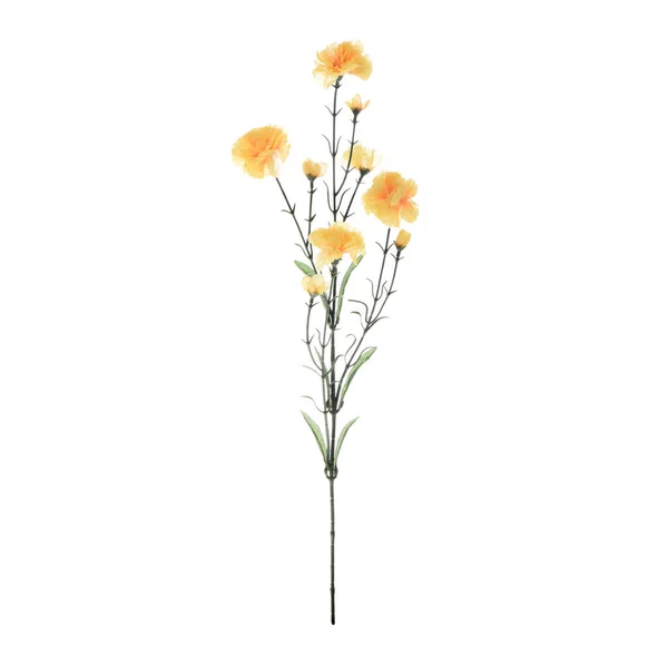 Kleur Kunstmatige Anjer Bloemen Geïsoleerd Witte Achtergrond — Stockfoto