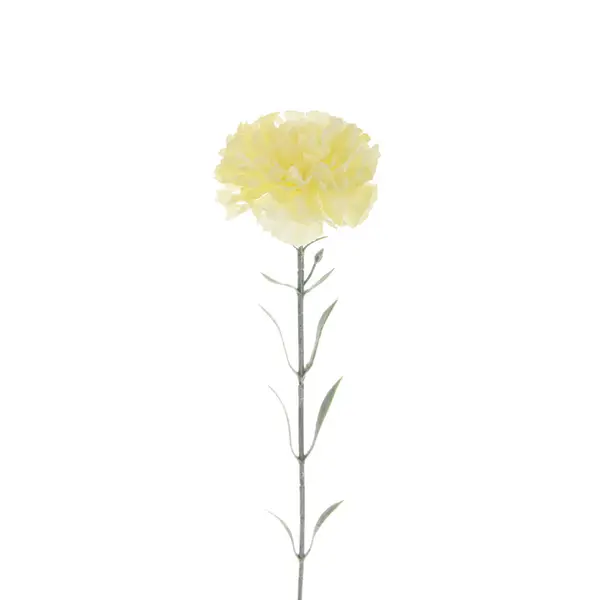 Color Artificial Carnation Flower Isolated White Background — Stock Photo, Image