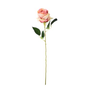 beyaz arkaplanda izole edilmiş renk yapay bitkisi  