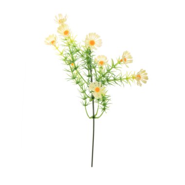 beyaz arkaplanda izole edilmiş yapay çiçekler  