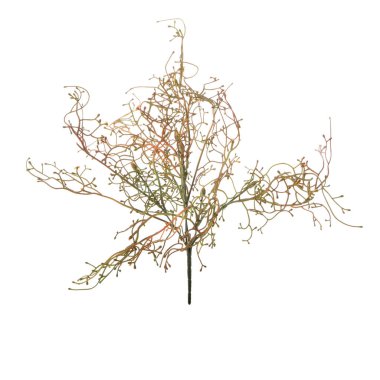 Beyaz arkaplanda izole edilmiş yapay bitkilerin renk dalları   