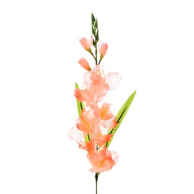 beyaz arkaplanda izole edilmiş yapay çiçekler  