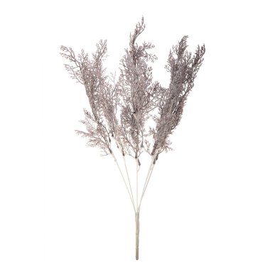 bitki dalı beyaz arkaplanda izole edildi 