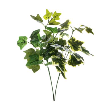 beyaz arkaplanda izole edilmiş renk yapay bitkisi  