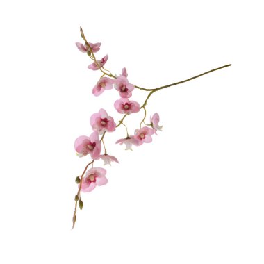 beyaz arkaplanda izole edilmiş yapay çiçekler  