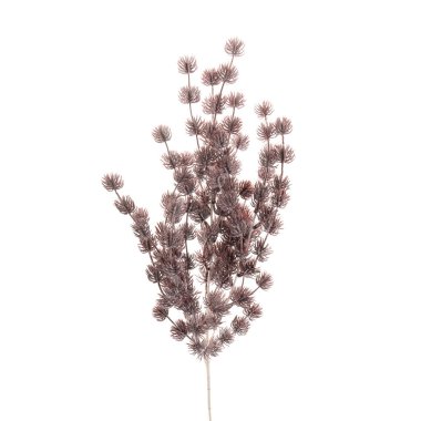 beyaz arkaplanda izole edilmiş renk yapay bitkisi  