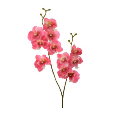 beyaz arkaplanda izole edilmiş yapay çiçekler  