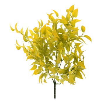 Beyaz arkaplanda izole edilmiş yapay bitkilerin renk dalları   